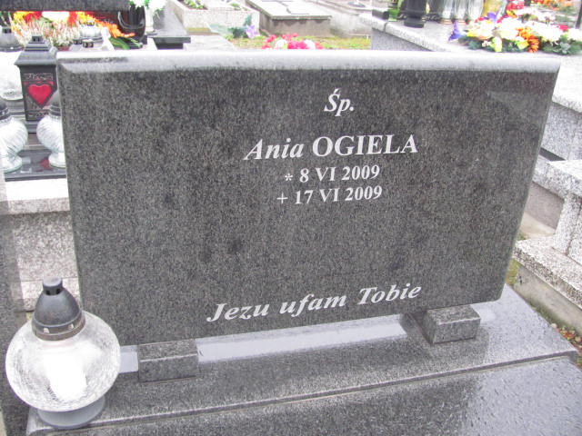 Narcyz Banach 1907 Nowy Sącz Biegonice - Grobonet - Wyszukiwarka osób pochowanych